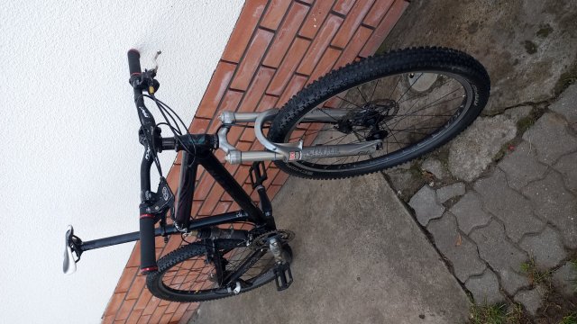 Klein Palomino 2003 #2