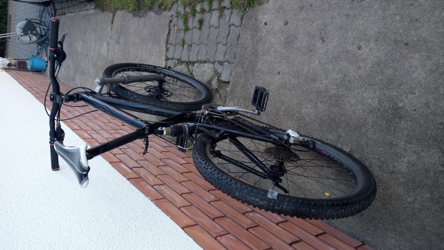 Klein Palomino 2003 #3