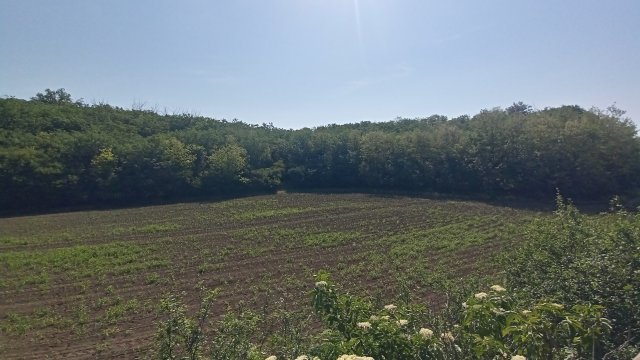 MTB '26 #1158