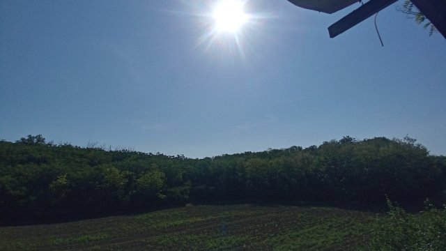 MTB '26 #1159