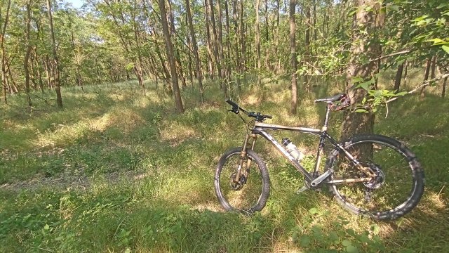 MTB '26 #1160