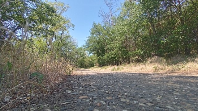 MTB '26 #1162