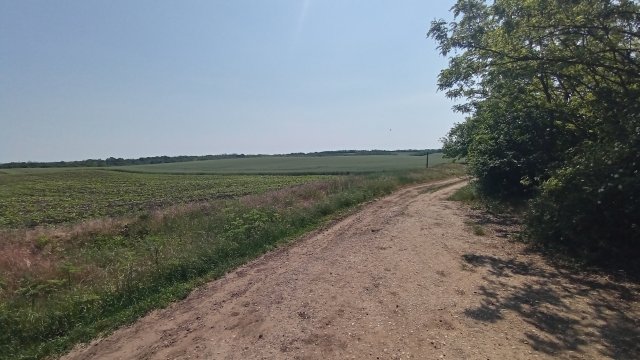 MTB '26 #1164