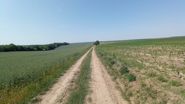 MTB '26 #1165