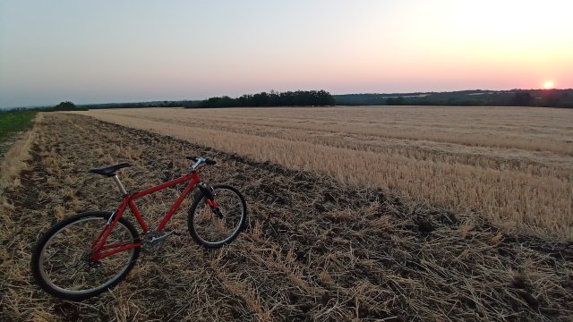 MTB '26 #1195