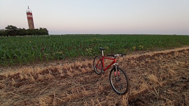 MTB '26 #1196