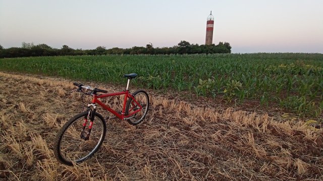 MTB '26 #1197