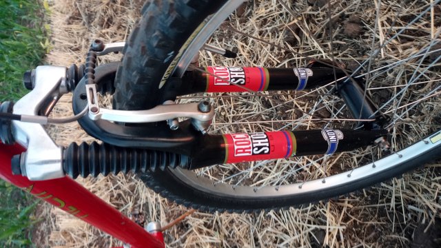 MTB '26 #1207