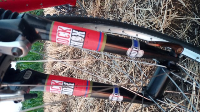 MTB '26 #1214