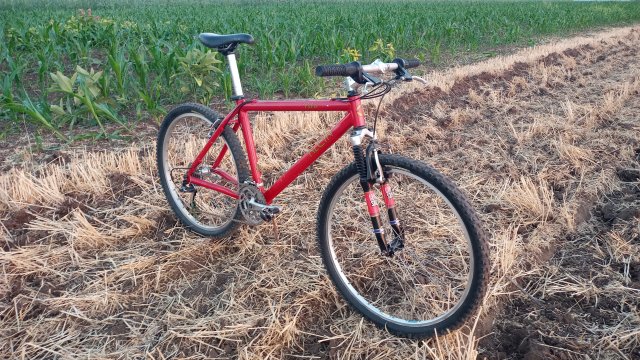 MTB '26 #1227