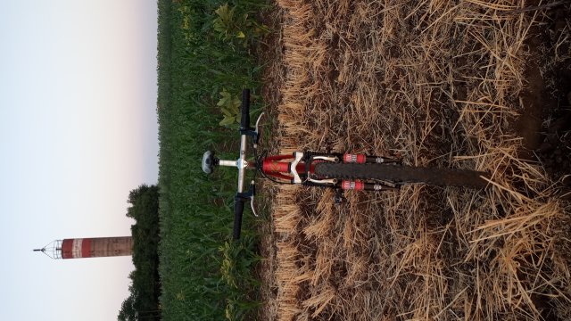 MTB '26 #1228