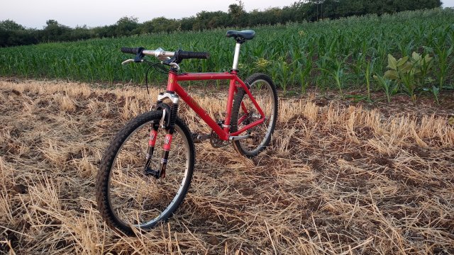 MTB '26 #1229