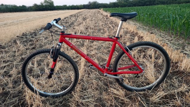 MTB '26 #1230
