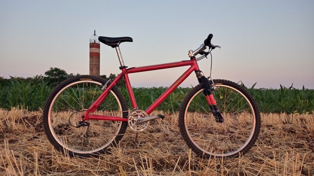 MTB '26 #1235
