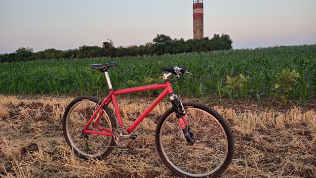 MTB '26 #1236