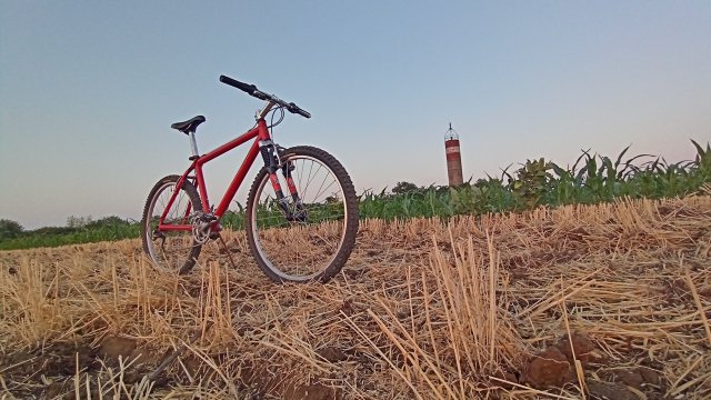 MTB '26 #1242