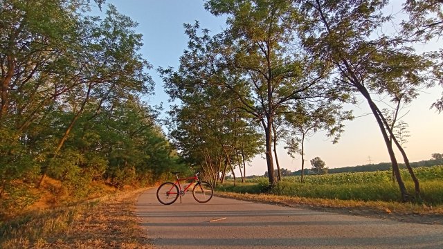MTB '26 #1247