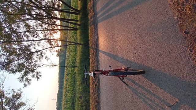 MTB '26 #1249