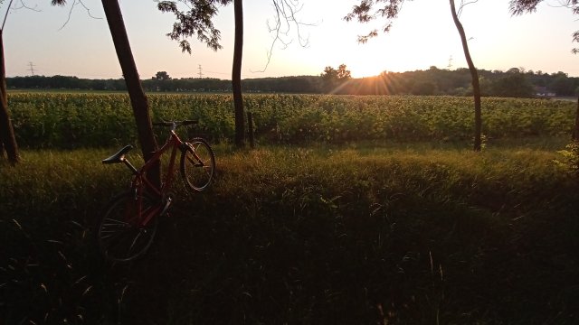 MTB '26 #1251