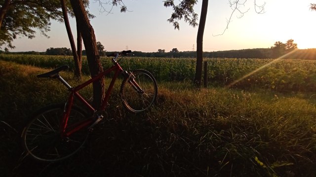 MTB '26 #1254