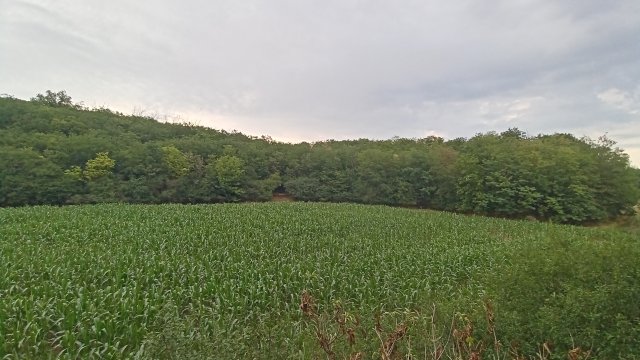 MTB '26 #1258