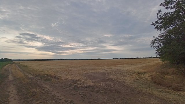 MTB '26 #1261