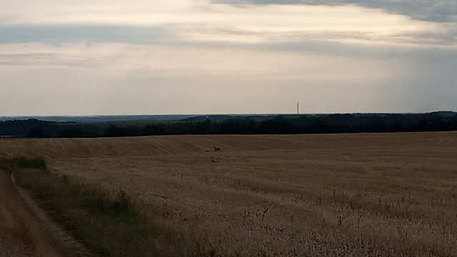MTB '26 #1262