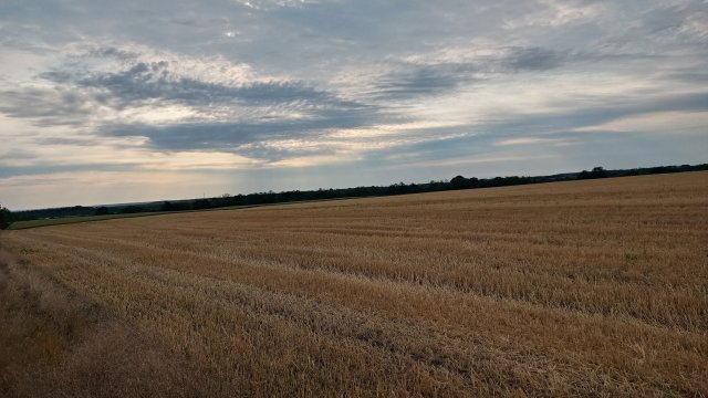 MTB '26 #1265