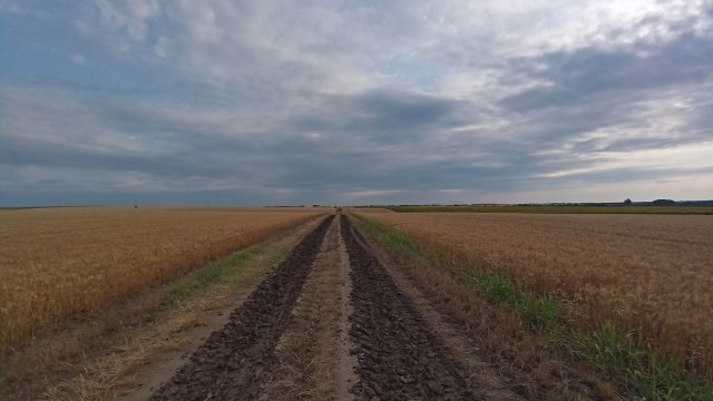 MTB '26 #1266