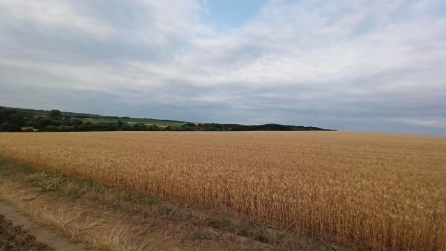 MTB '26 #1268