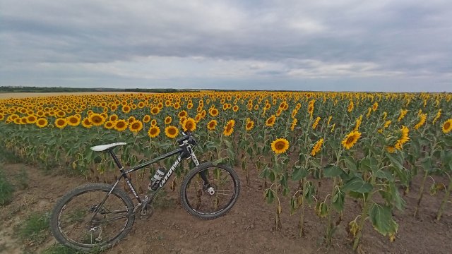 MTB '26 #1269