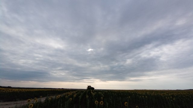 MTB '26 #1271