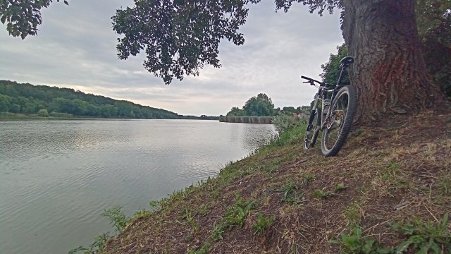 MTB '26 #1273