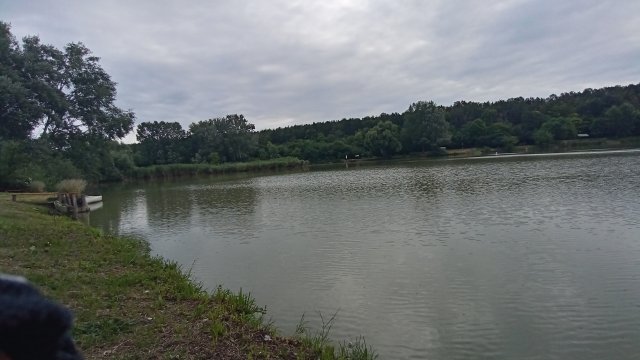 MTB '26 #1274