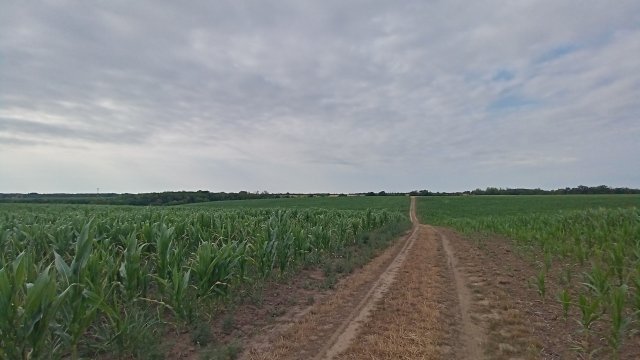 MTB '26 #1277