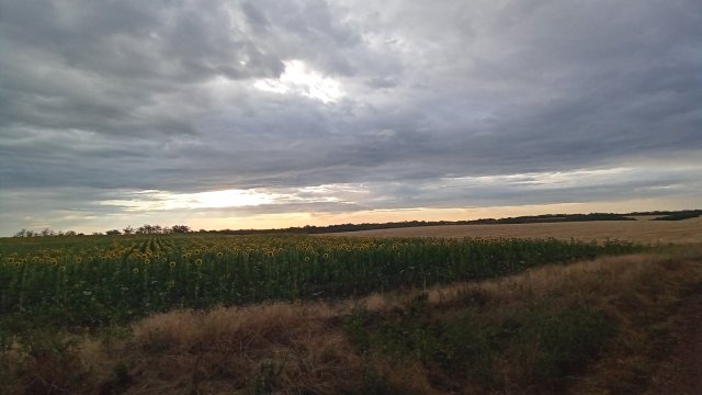 MTB '26 #1282