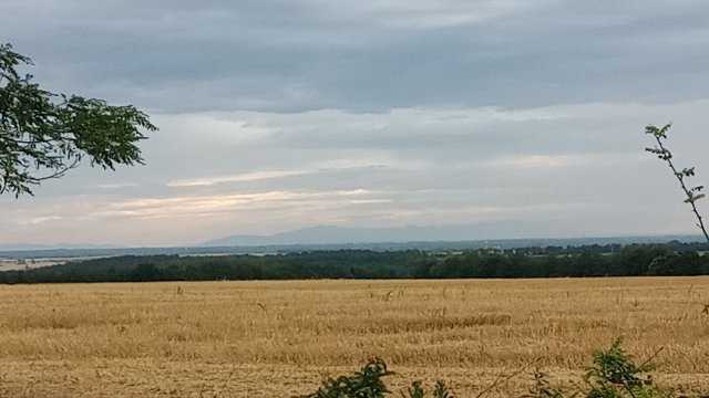 MTB '26 #1283
