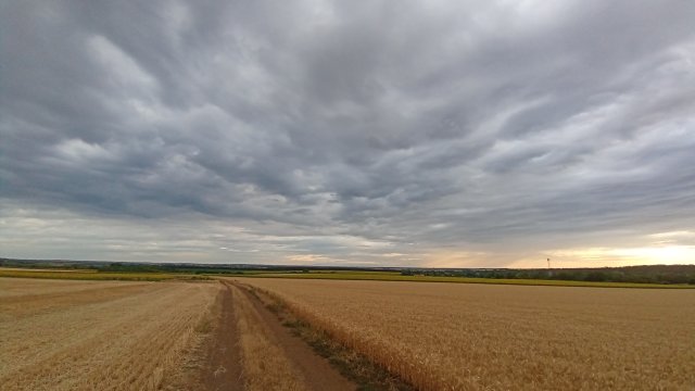 MTB '26 #1285