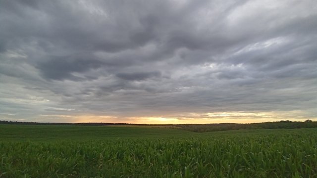 MTB '26 #1286