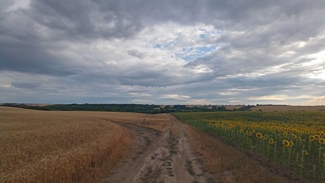 MTB '26 #1287