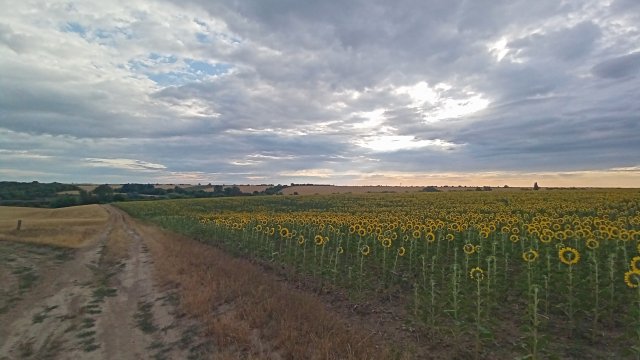 MTB '26 #1288