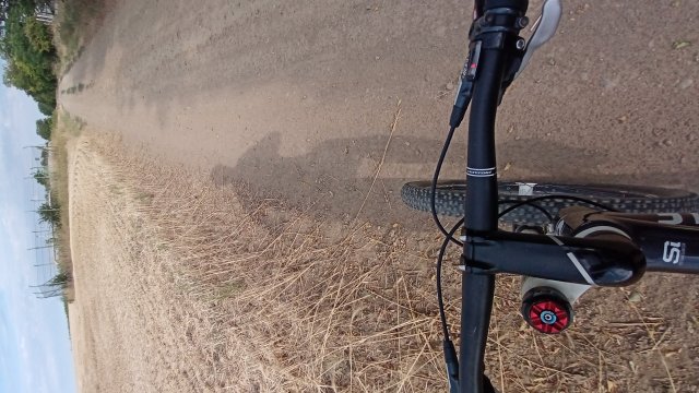 MTB '26 #1294
