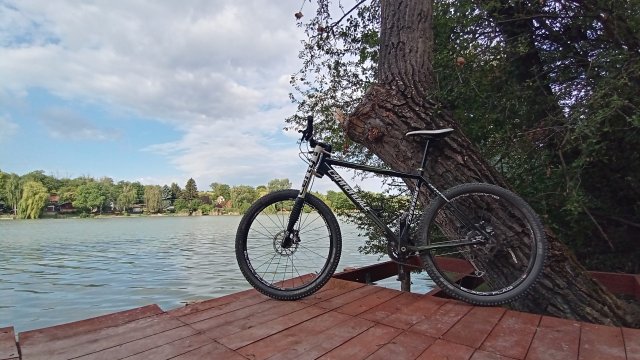 MTB '26 #1295