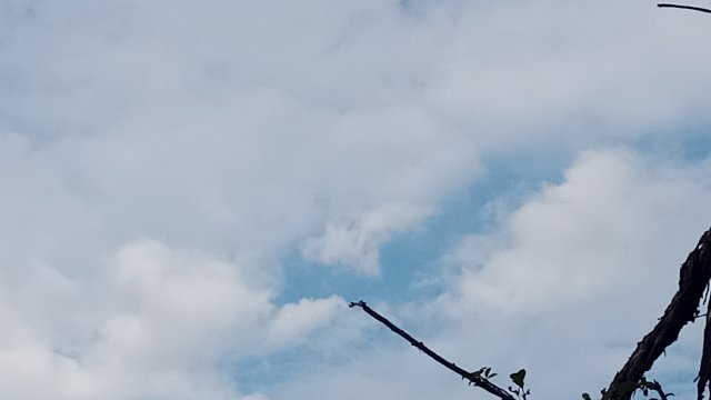 MTB '26 #1298