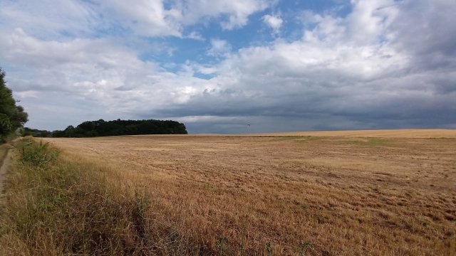 MTB '26 #1300