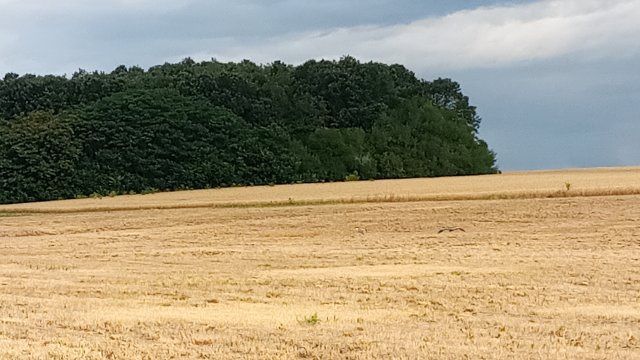 MTB '26 #1303