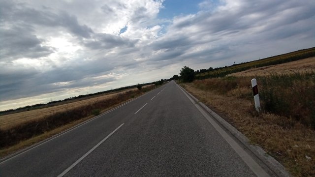MTB '26 #1305