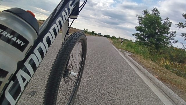 MTB '26 #1307