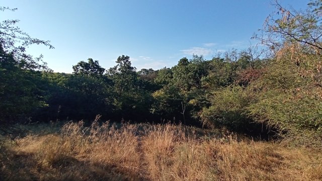 MTB '26 #1310