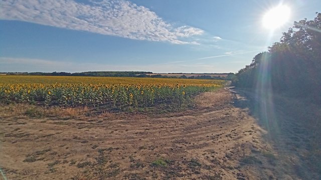MTB '26 #1311
